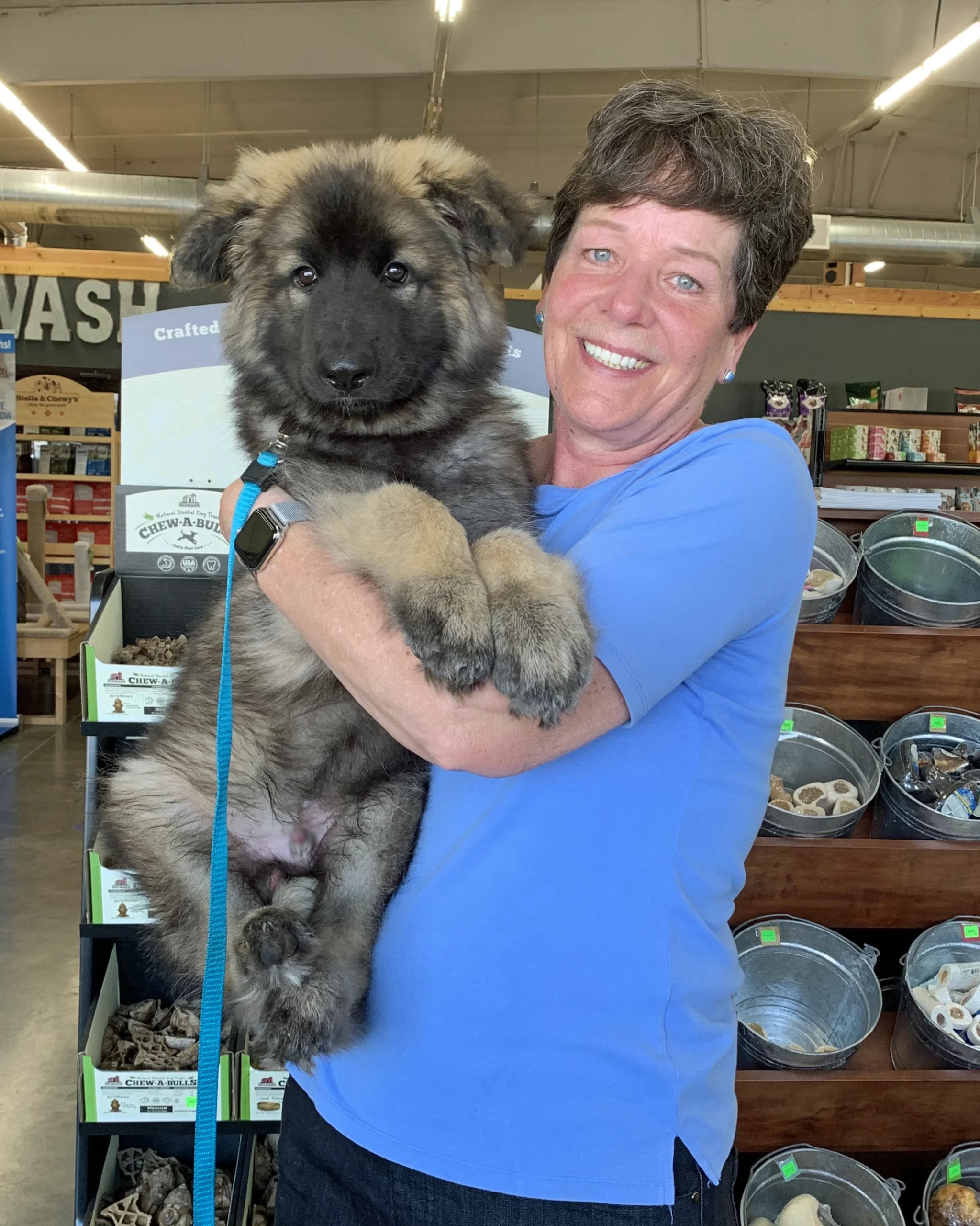 Peggy and Hawken 3 mos